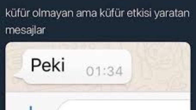 Küfür etkisi yaratan ama küfür olmayan cümlelerin var mı?