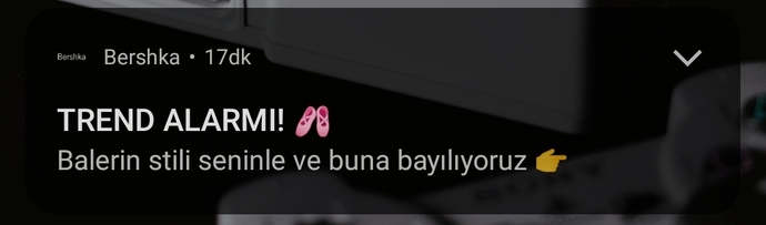 Bershka bana enteresan önerilerde bulunuyor, fazla mı ileri görüşlü ne?