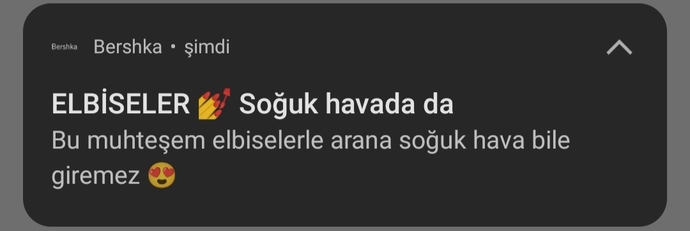 Bershka bana enteresan önerilerde bulunuyor, fazla mı ileri görüşlü ne?