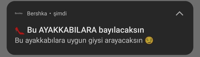 Bershka bana enteresan önerilerde bulunuyor, fazla mı ileri görüşlü ne?