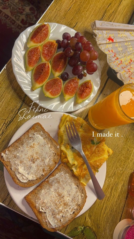 Size neli tost yapmamı isterdiniz?