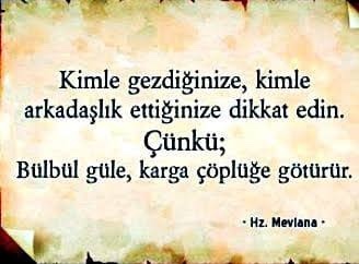 Bayıldım bu söze, dediğiniz sözler var mı?