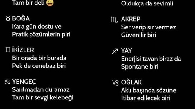 Burcunuz kendisini hangi cümle ile anlatıyor?