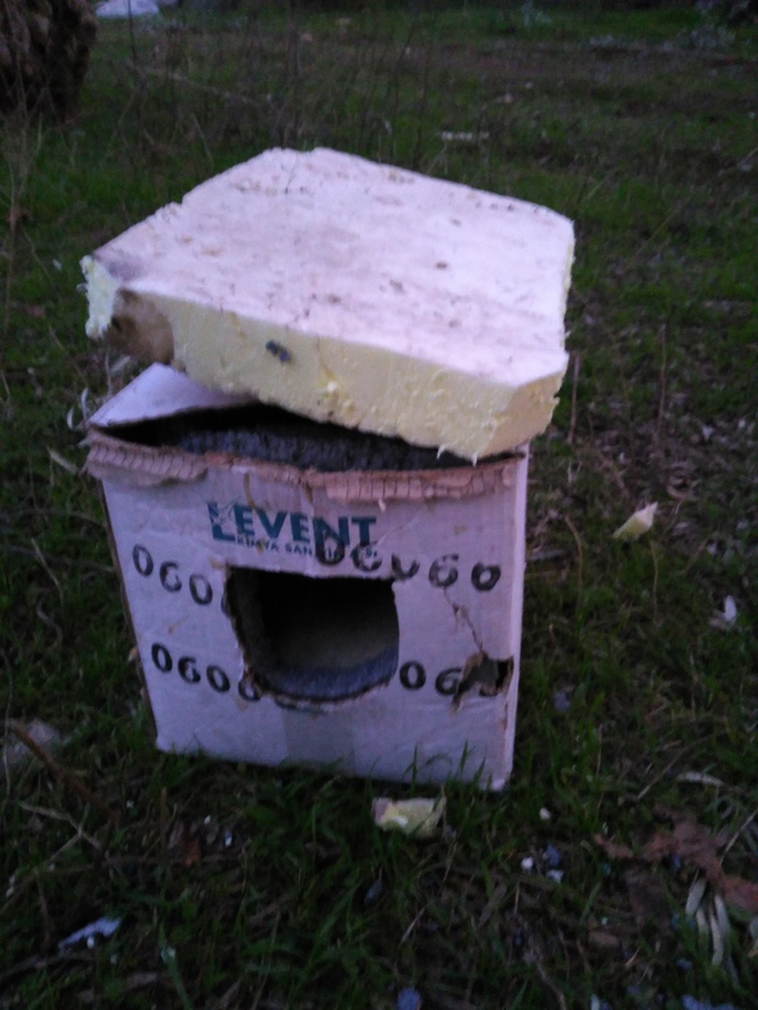 Kedi Evi Yaptım Nasıl Olmuş (4 foto)?