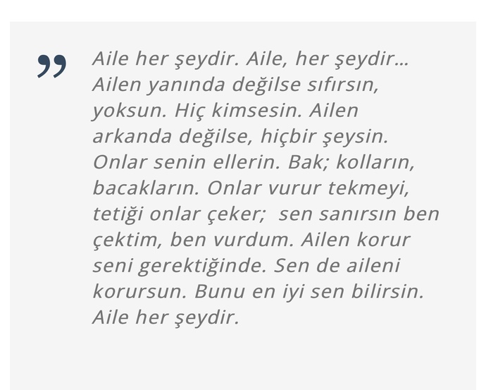 Aile bireylerinizden fikir almaya özen gösterir misiniz?