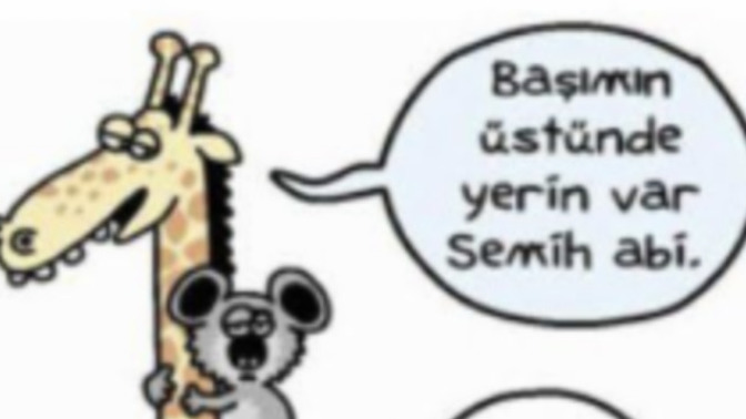 “Senin tepemin üstünde yerin var” dediğiniz birileri var mı?