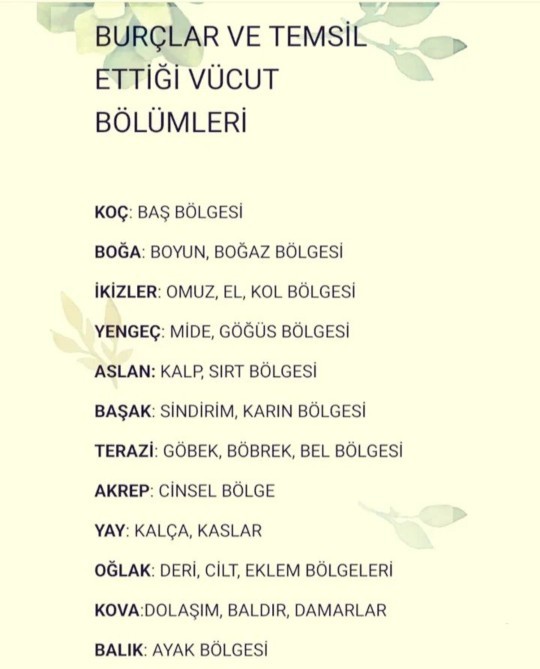 Sen vücudun hangi bölgesini temsil ediyorsun?