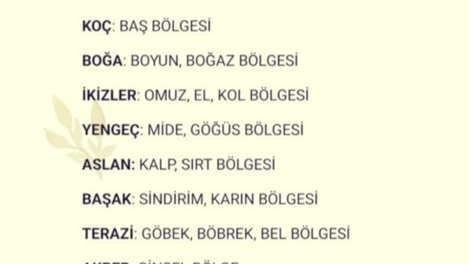 Sen vücudun hangi bölgesini temsil ediyorsun?