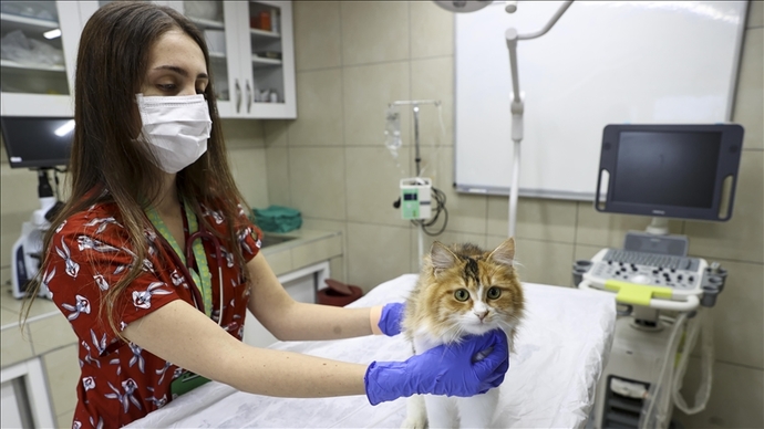 1 Ocak itibariyle kliniklerin çipsiz hayvanlara bakmayacağı söyleniyor. Doğru bulmayan tek ben miyim?