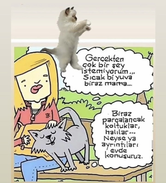 Kedisi olan var mı ay bunlar çok tatlıı 😻?