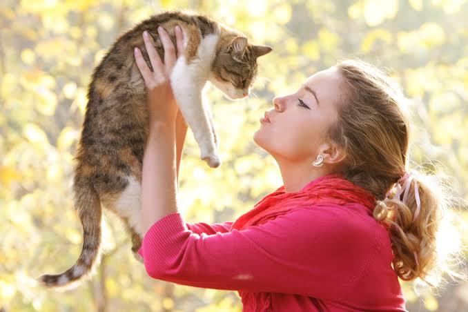 Kedisi olan var mı ay bunlar çok tatlıı 😻?