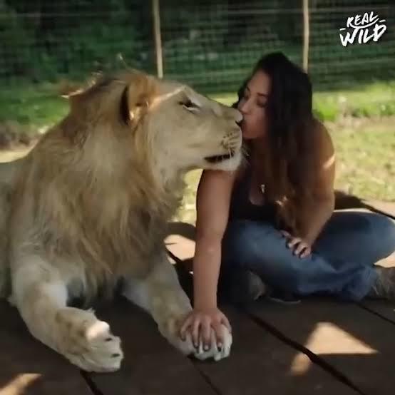 Kedisi olan var mı ay bunlar çok tatlıı 😻?