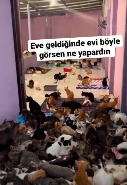 Evi geldiğinde böyle bulsan ne yaparsın?