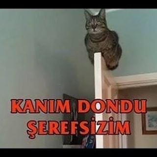 Sizce sesim nasıll?_-?