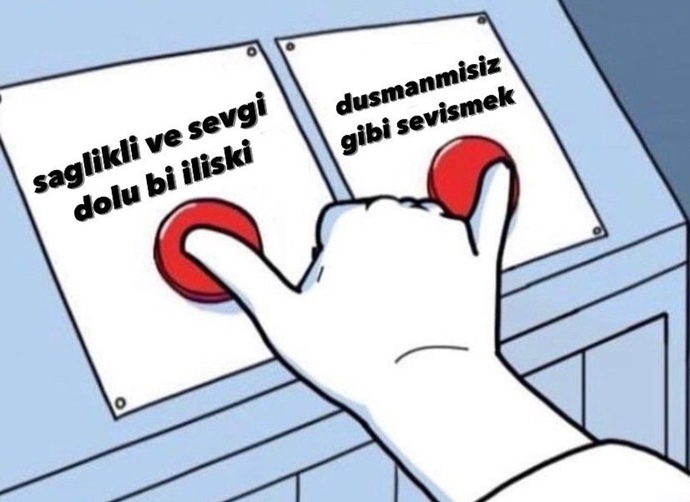 Siz nasıl bir seçim yapardınız?