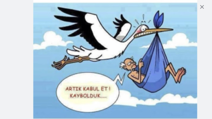 Ailen sana hiç leyleklerin çocuk getirdiği masalı anlattı mı?