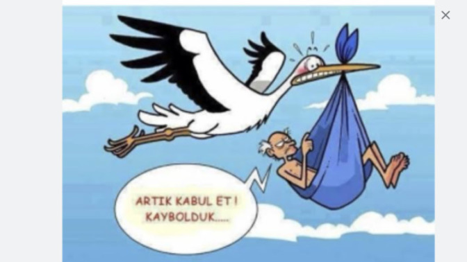 Ailen sana hiç leyleklerin çocuk getirdiği masalı anlattı mı?