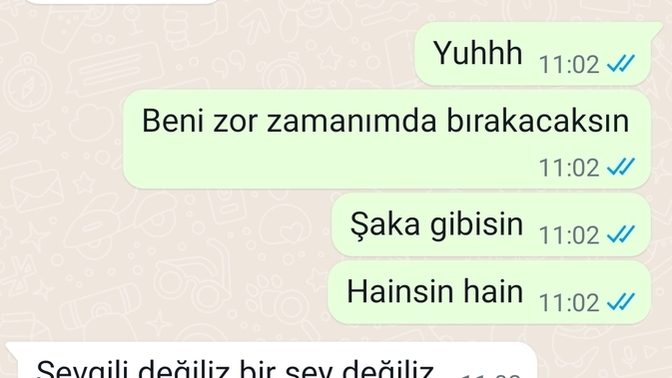 Tum KS halkı buraya bakabilir mi resimli böyle bir varlığı ne diyebiliriz?