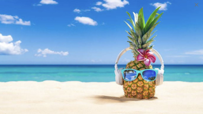 Bir tatil kazansan ve iki kişi getirmenize izin verilse aramızdan kimleri seçerdin?