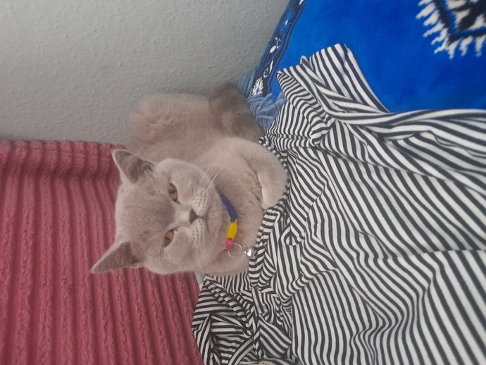 Traşımızı da olduk, aşımızı da vurulduk. Biz yılbaşına hazırız ya siz?
