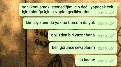Mesajına cevap vermiyorsam kedilerimle oynuyorumdur 😂🦁