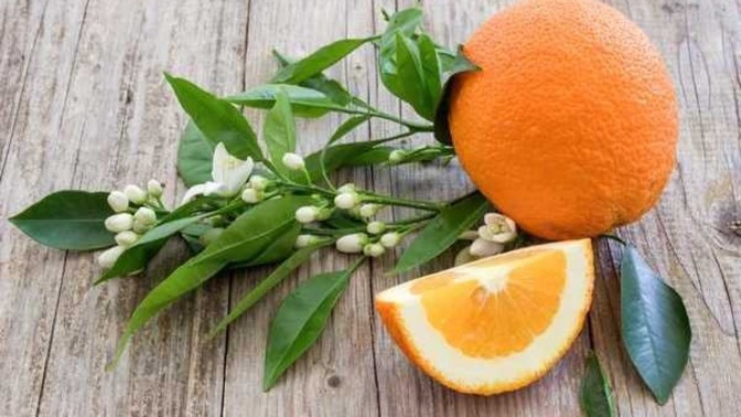 Mandalina, portakal gibi meyvelerin tabakta servis yapılmasını mı, yoksa kendiniz soyup yemeyi mi seversiniz?