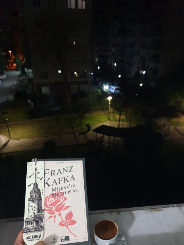Kitaplığınıza en son hangi kitabı eklediniz?