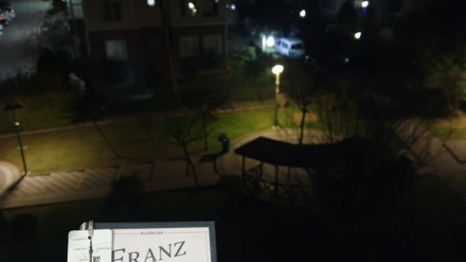 Kitaplığınıza en son hangi kitabı eklediniz?