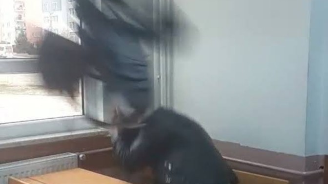 Seneye görüşürüz şakalarına denk geldiniz mi?