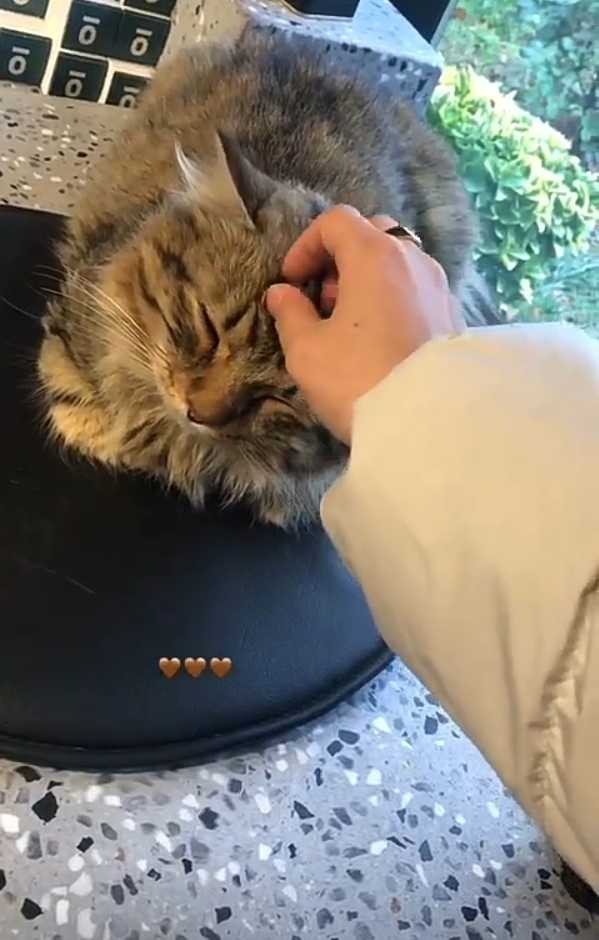 Sağlıklı huzurlu mutlu yıllar dilerim KS halkı 💫💫 nasılsınız?