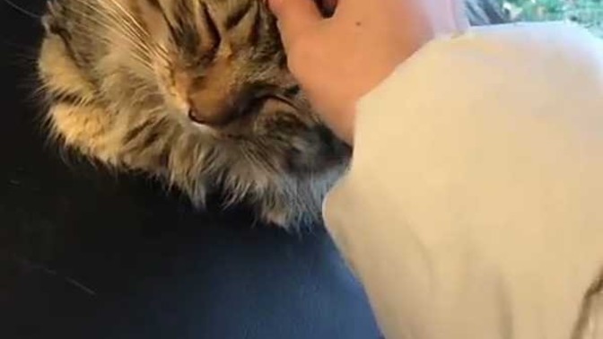 Sağlıklı huzurlu mutlu yıllar dilerim KS halkı 💫💫 nasılsınız?