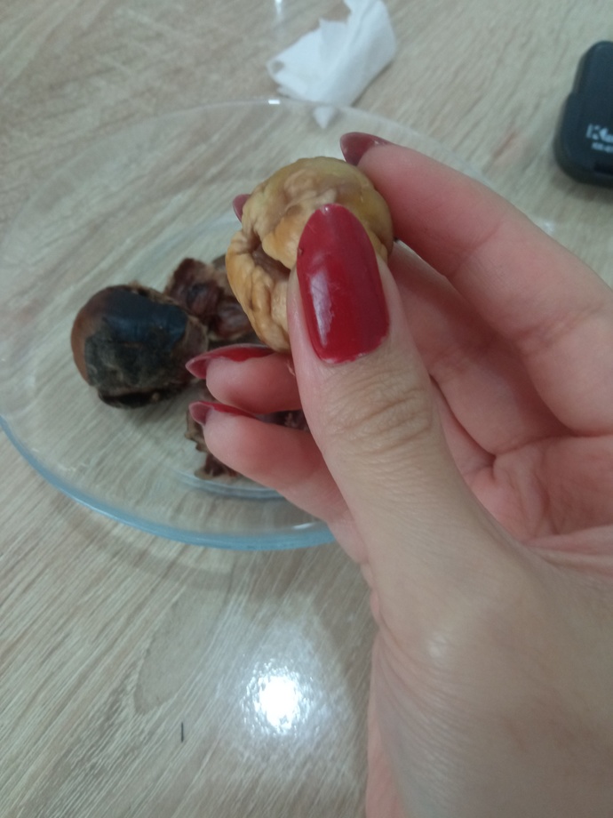 Kestane sever misin?