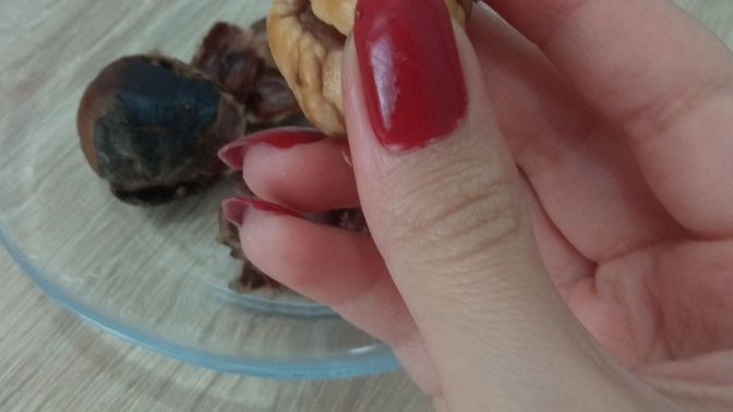 Kestane sever misin?