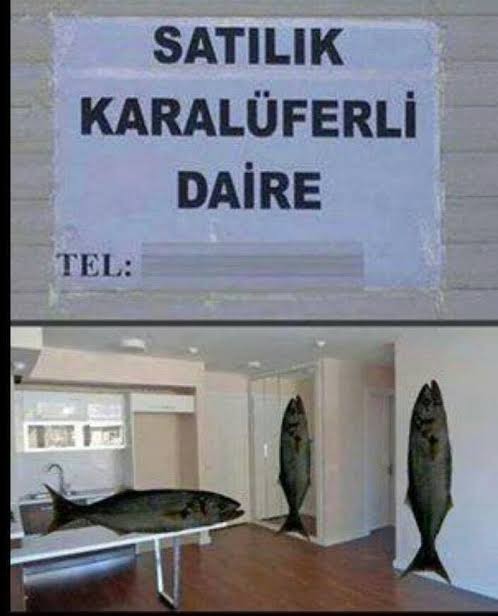 Hadi herkes telefonu daki son resimi atsın baklaim ne olucak?