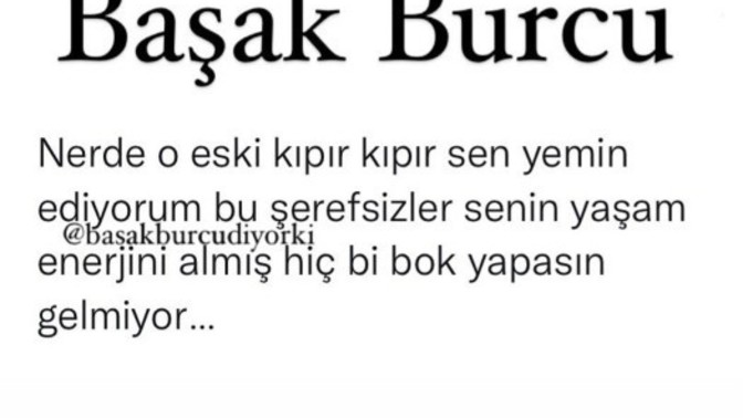 Sizce en çok hangi burç var. Sizin burcunuz nedir?