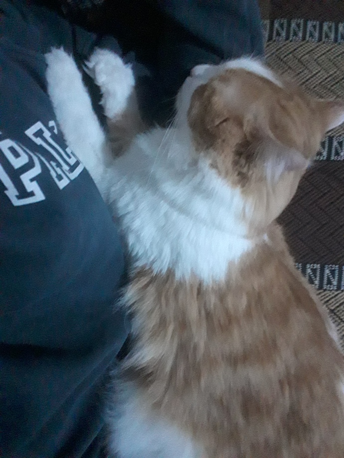 Hayatınızda temas bağımlısı biri var mı?