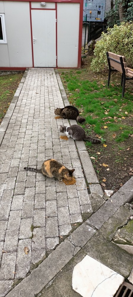 Hayatınızda temas bağımlısı biri var mı?