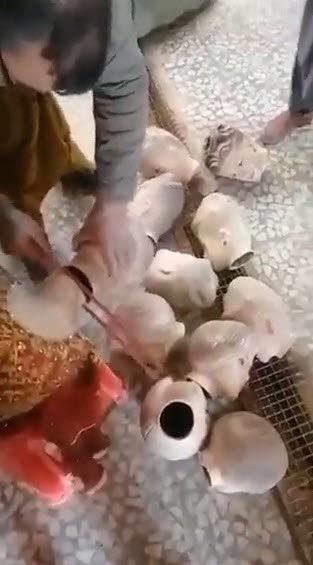 Taliban cansız mankenleri şeriata aykırı diyerek tabir-i caizse idam etti düşünceleriniz?