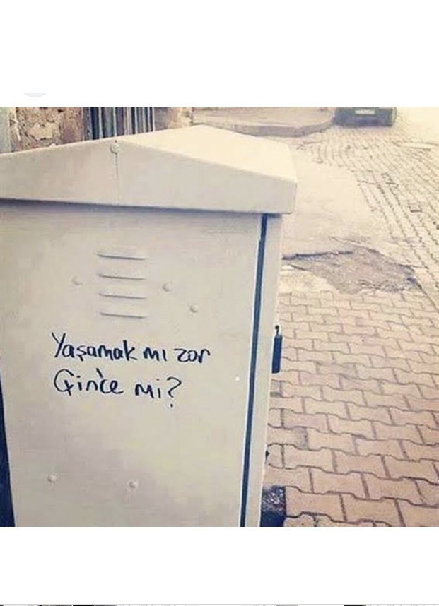 Görselin cevabı ne sizce?