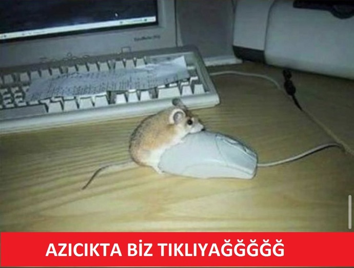 Seks senin için ne anlam ifade ediyor?