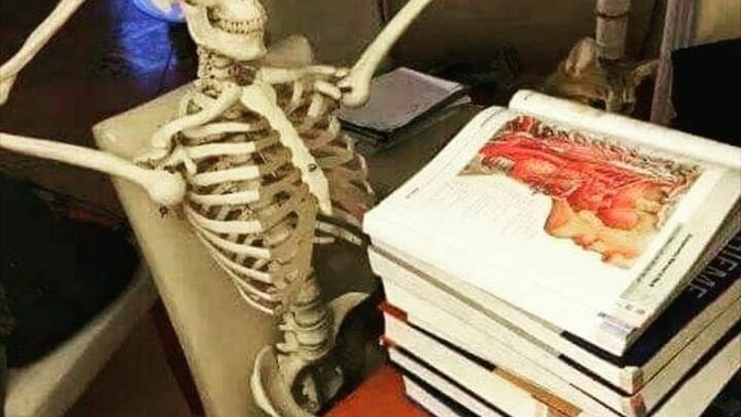 Size göre en kötü ağrı hangisi?