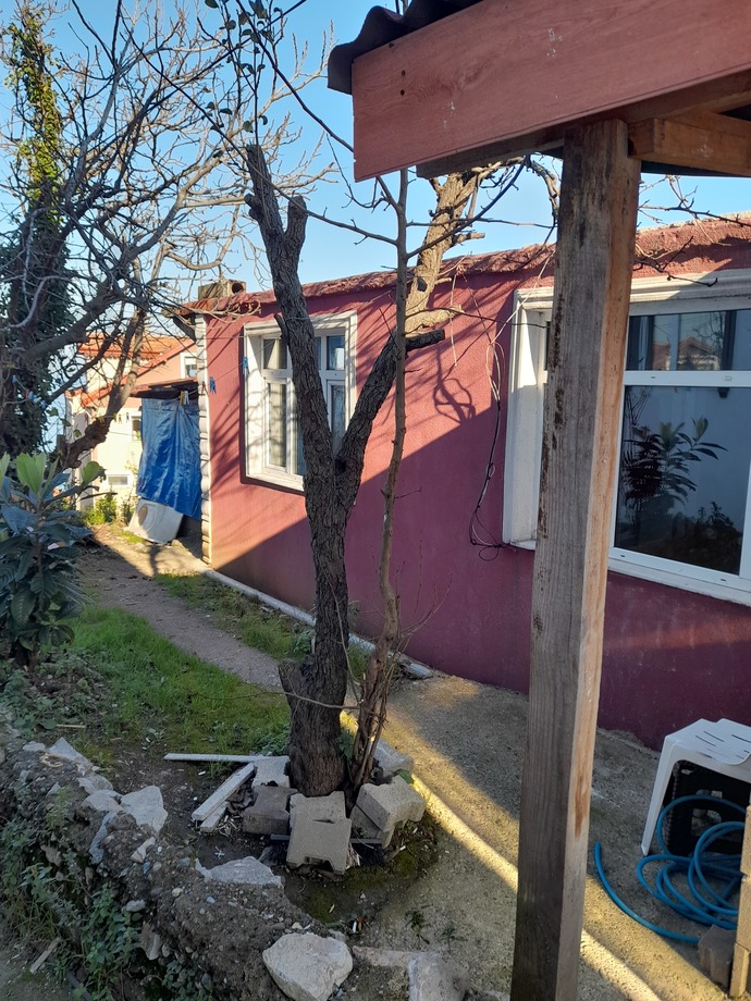 Böyle bir evde yaşamak ister miydiniz, satın almayı düşünür müydünüz?