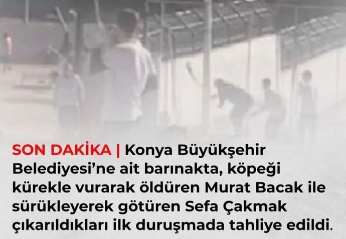 Adalete güveniyor musunuz?