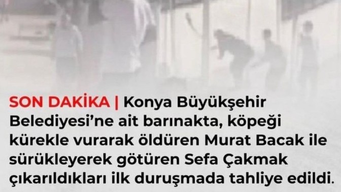 Adalete güveniyor musunuz?