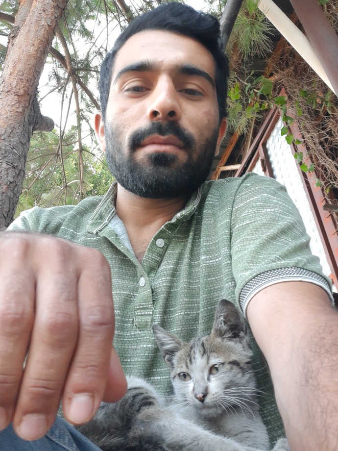 Sokakta kedi gördüğünüzde sever misiniz yoksa uzak mı durursunuz?