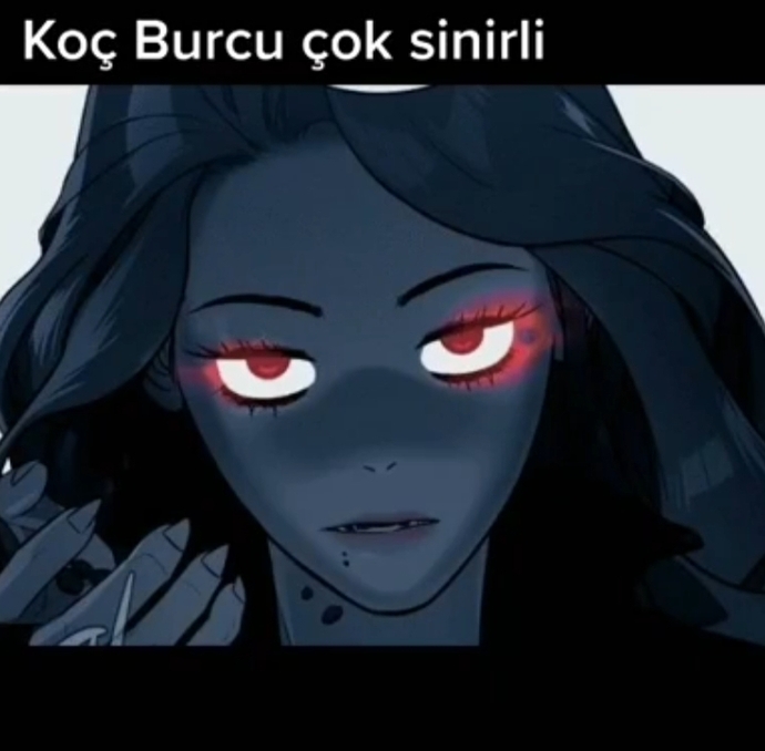 Koç ve yay sevgisi sizce nasıl?