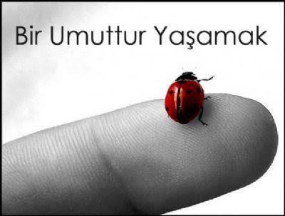 sana göre bu kavram nedir?