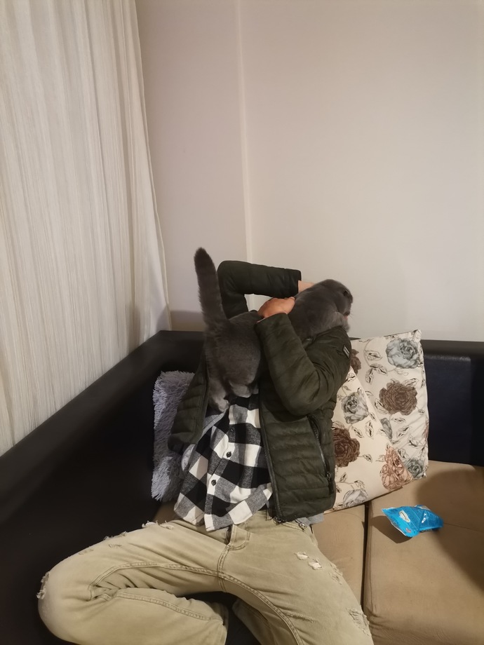 Ben tekim, siz çift misiniz?