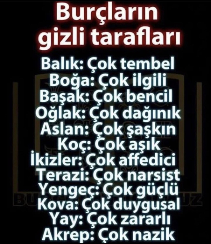 Burcuna göre gizli tarafın neymiş 😅?