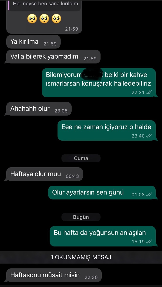 Hoşlandığım kıza imalı olarak yazdığım son kısım sizce gereksiz mi olmuş?